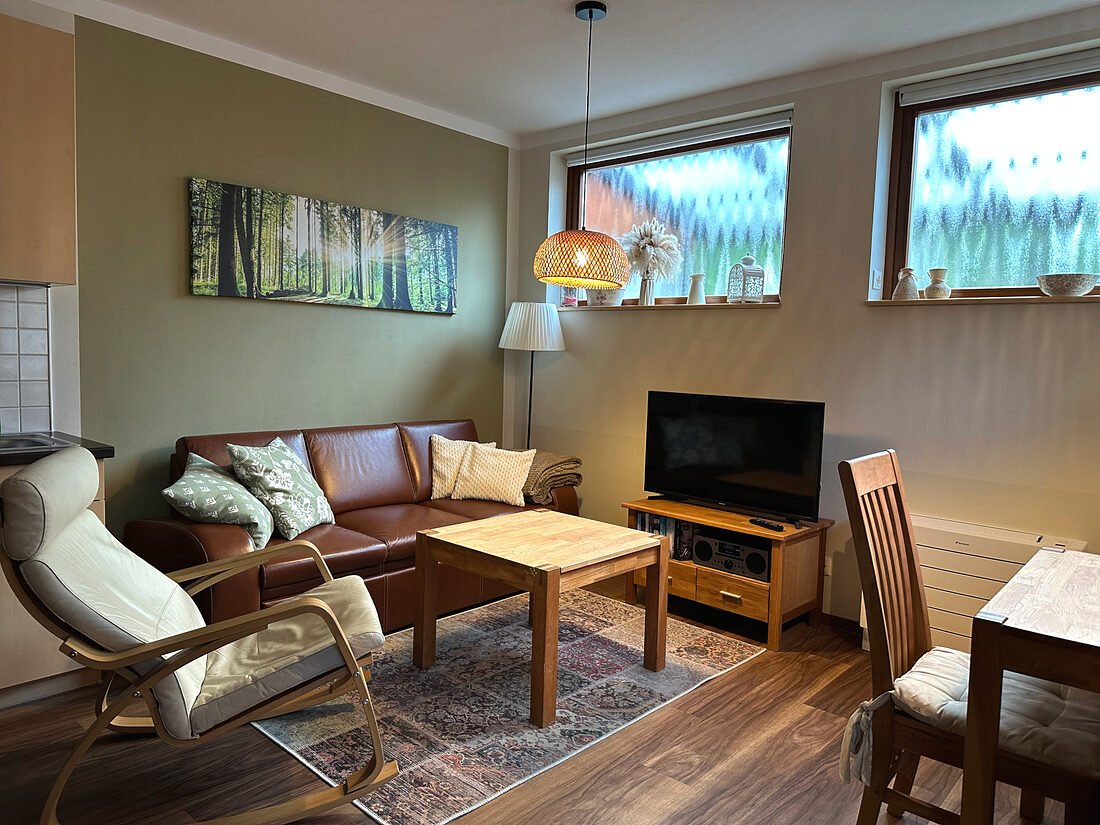 gemütliche Ledercouch, Sessel, TV