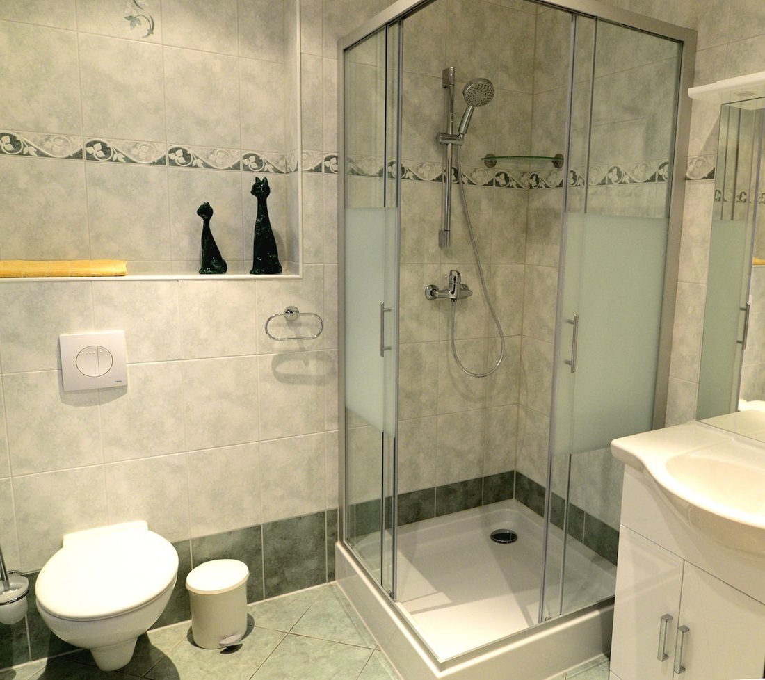 Badezimmer mit Duschkabine, WC und Waschtisch